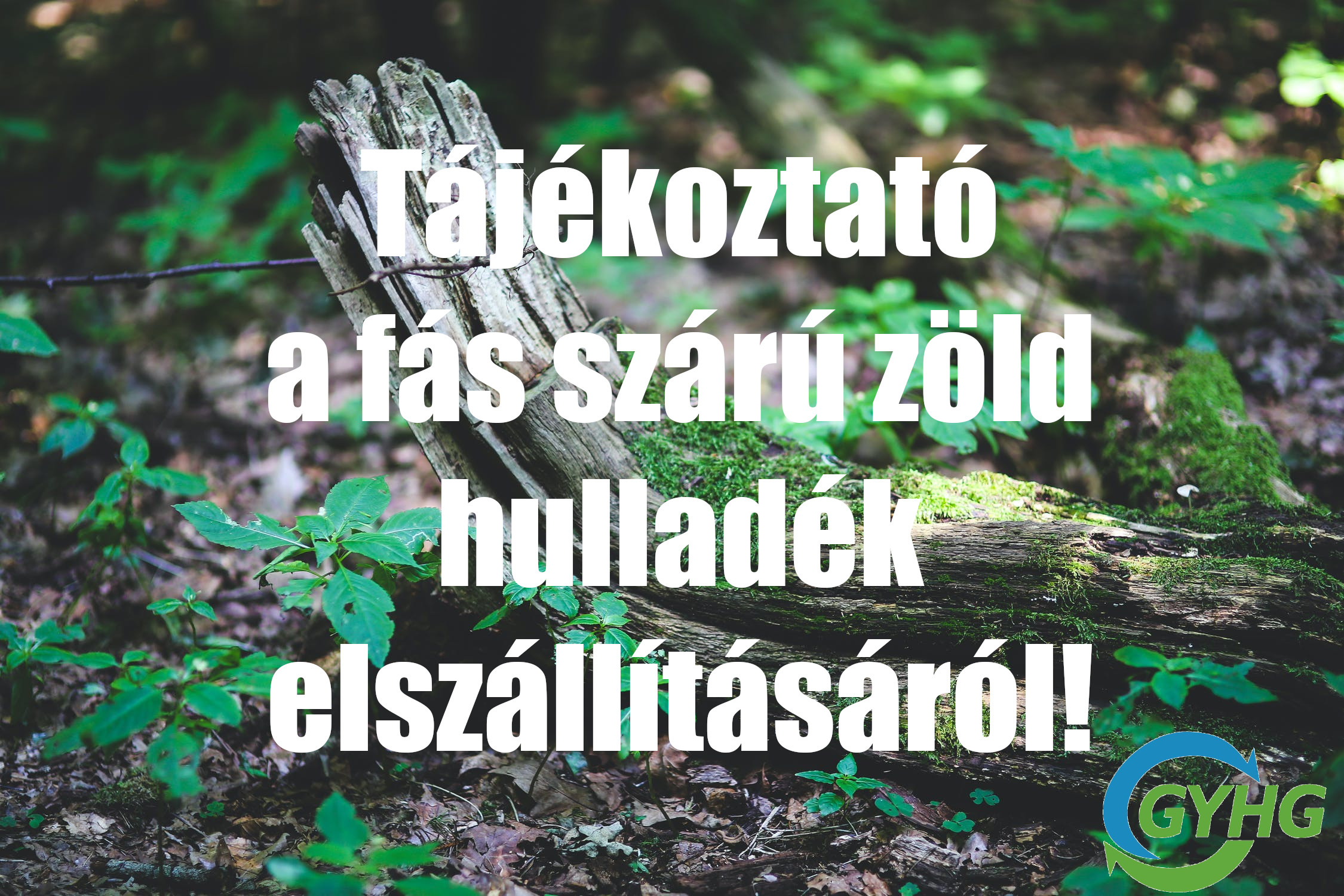 Tájékoztató a fás szárú zöld hulladék elszállításáról